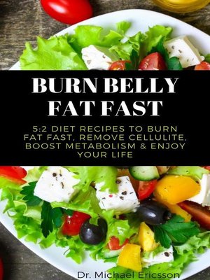 cover image of Burn Belly Fat Fast
